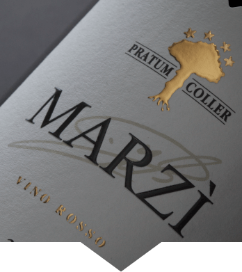 MARZI